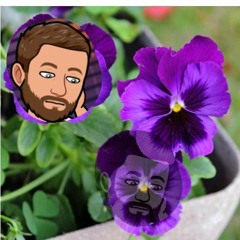 Violets
