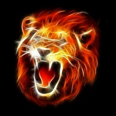 commando 55 (ft. pauldnb)