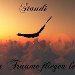 Staudi-Wenn Träume fliegen lernen