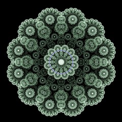 Fractals