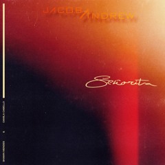 Senorita - Shawn mendes ,Camila Cabelo (Jacob Andrew Remix)