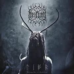 Heilung - Fylgija Ear (Soultex Remix)
