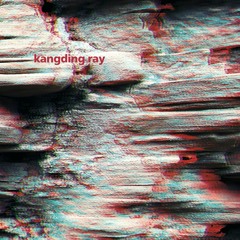 Kangding Ray - Polygon (A2 from upcoming FIGURE X13)
