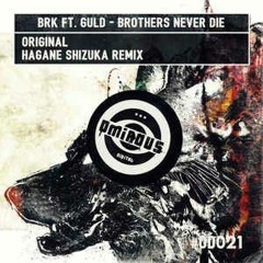 B. R. K. feat GULD - Brothers Never Die  DEMO EDIT
