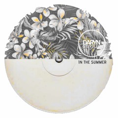 In The Summer - Daryn Steytler (Original Track)