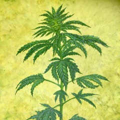 HIghTime mix1