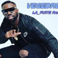VEGEDREAM - LA FUITE Reemix 2019
