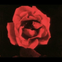 Luciano X Travis Scott Type Beat "Hayate"