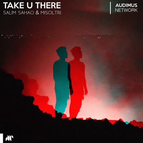 Salim Sahao & Misoltri - Take U There