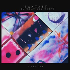 Fantasy (I'm What You Want)