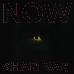 Shari Vari - Not A Perfect Day