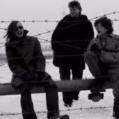 Гражданкая оборона - Насекомые