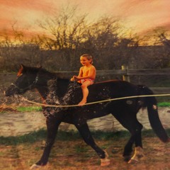 Indigo Bunting - I Don't Mind