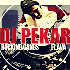 DJ PEKAR - For BLOW YOUR FLOW