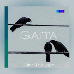 PIKENO 'PKN' - GAITA