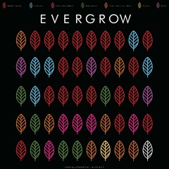 EVERGROW #49 - Trinity Nightclub - 9/7/19 (Electro/Festival/Trap)