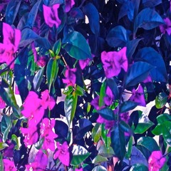 I Have Saved Hip Hop