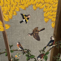 Lorkin O'Reilly - Twist