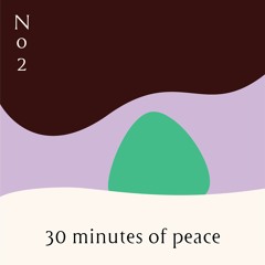 30 Minutes Of Peace No.2