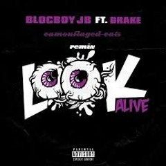 Camouflaged Cats - Look Alive(Original By Blocboy JB & Drake)