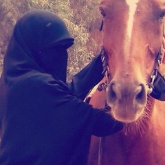 حمزة نمرة