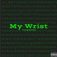 My Wrist (prod. RO$$)