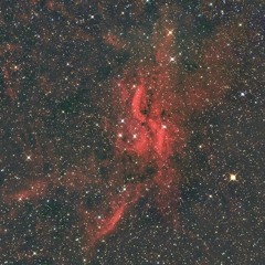 Star Cradle