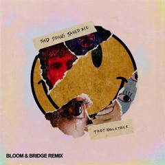 SAD SONGS SAVED ME (Bloom & Bridge Remix)
