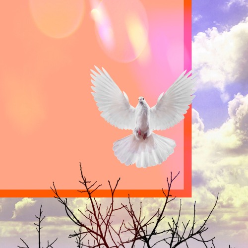 Hermit to Dove