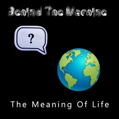 The Meaning Of Life