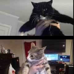 Adore 1996 Winter The Lost Album