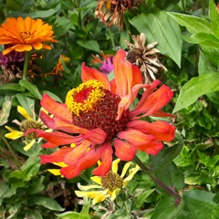 Rabatz und Radau (11.10.2019) - Mixed House Styles Promo Set