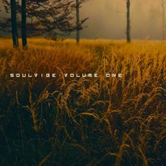 Soulvibe Vol.1 Demo