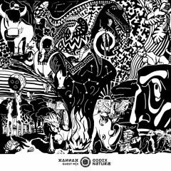 Codex Naturae Guest Mix 027: Hannah Lee