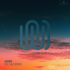 Axero - Fly Like Birds