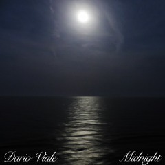 Dario Viale - Midnight (Original Mix)