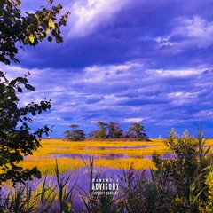 Never (Prod. Young Orange)