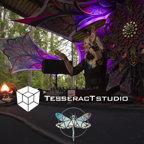 Entering TesseracTstudio