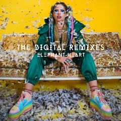 Elephant Heart - The Digital (The Funk Hunters & Defunk Remix)