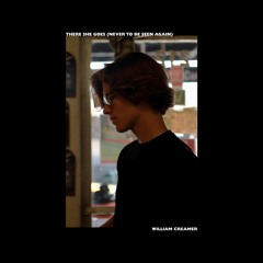 There She Goes (Never to Be Seen Again)