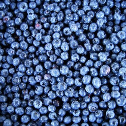 Blueberries