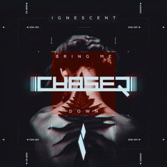 ChaseR - Bring Me Down [IGNI001]