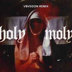 Carnage - Holy Moly Feat. Terror Bass (VBVDDON Remix)