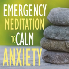 EMERGENCY Guided Meditation to Calm ANXIETY and STRESS