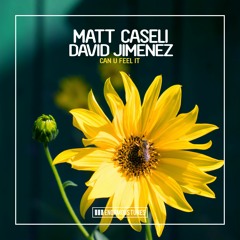 Matt Caseli & David Jimenez - Can You Feel It