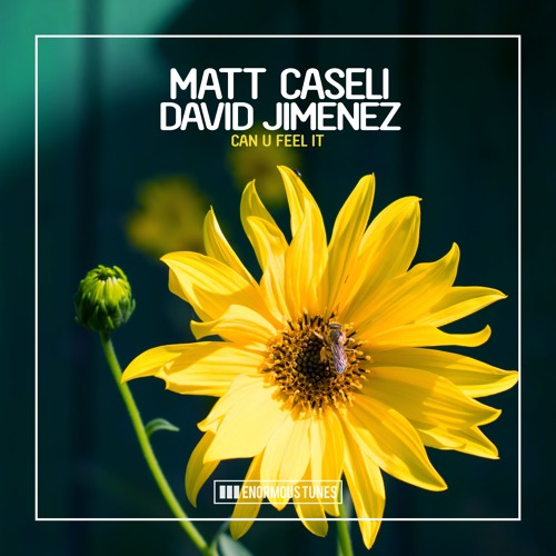 Matt Caseli & David Jimenez - Can You Feel It