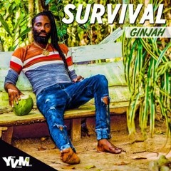 Survival -Ginjah