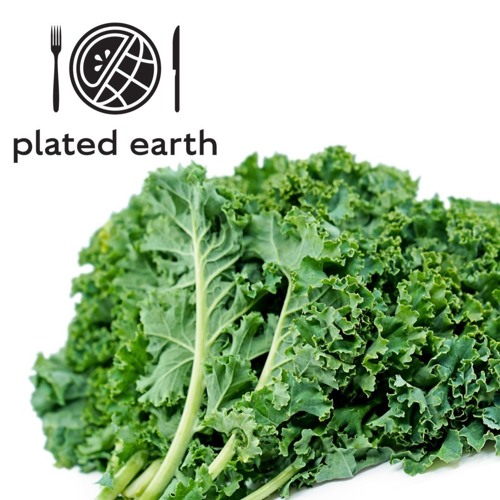 Episode 107 - Food Buzz: History of Kale