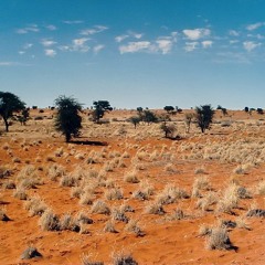 Kalahari