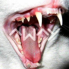 Fraunhofer Diffraction